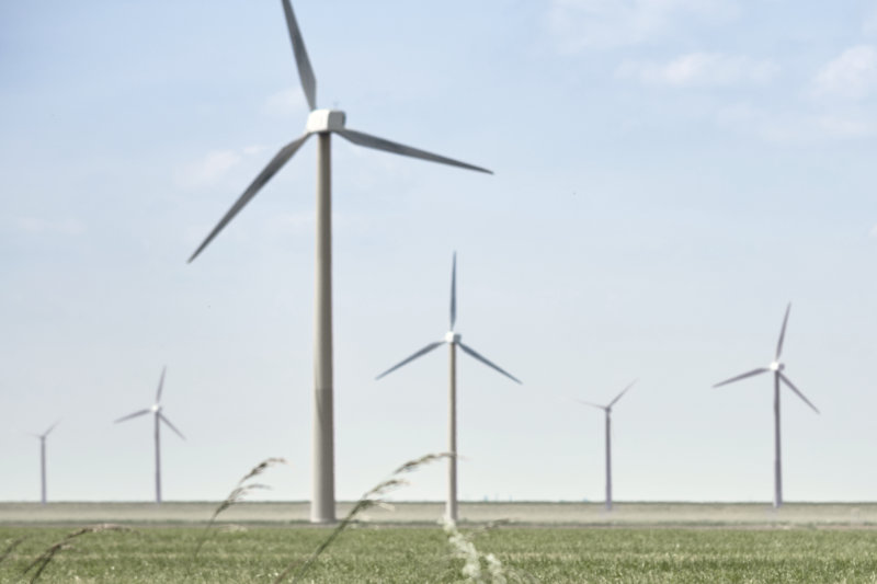 Eine grüne Wiese, auf der mehrere Windräder zu sehen sind.