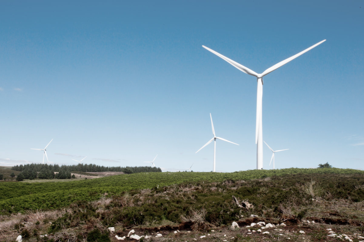 Windräder, die in einer grünen Landschaft zu sehen sind.