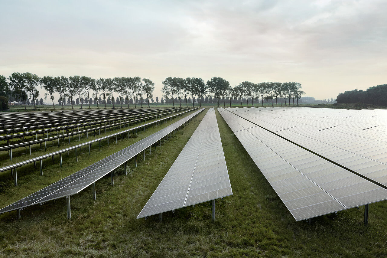 Solarpaneele stehen in einem Solarpark vor einer Baumreihe.