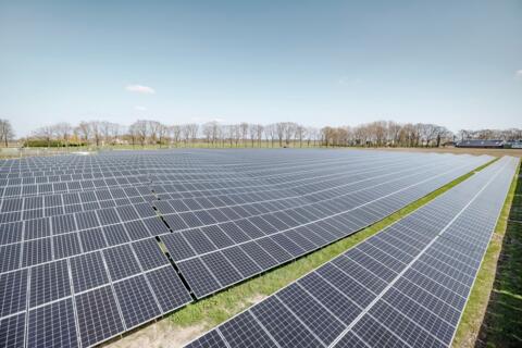 Solarpark auf einem Feld, im Hintergrund Bäume und ein blauer Himmel