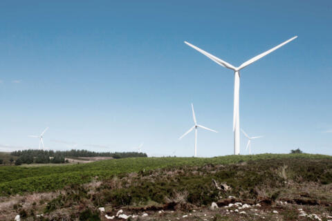 Windräder, die auf einer grünen Landschaft zu sehen sind.