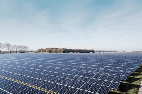 Ein Solarpark auf einem Feld, im Hintergrund sind Bäume und ein blauer Himmel mit Wolken.