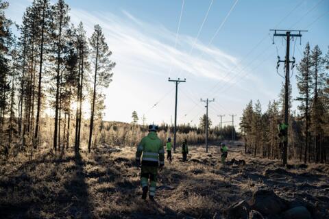 Mehrere Personen laufen durch einen Wald, durch den Stromleitungen führen.