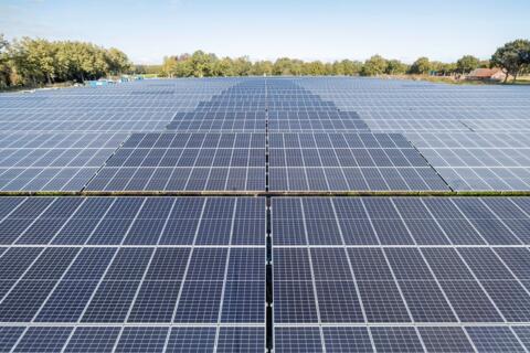 Ein großer Solarpark umgeben von Bäumen