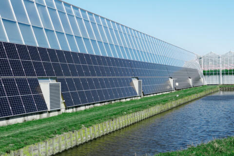Solarpaneele sind entlang einer Gebäudefassade aus Glas angebracht. Daneben ist ein kleiner See