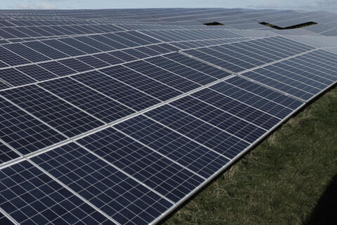 Nahaufnahme von einem Solarpark auf einer Wiese.