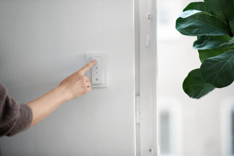 Eine Person drückt auf einen Lichtschalter an einer weißen Wand. Blätter einer Pflanze ragen ins Bild.