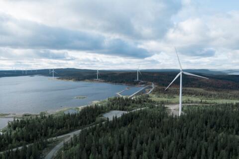 Windkraftanlagen in der Natur