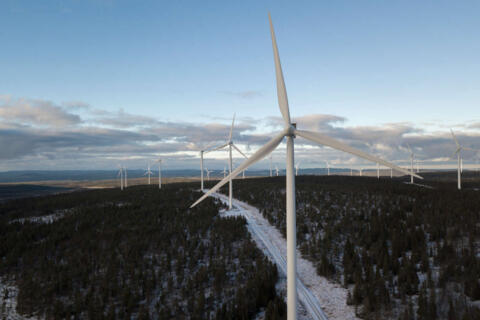 Viele Windräder, die in einem Wald platziert sind. Durch die Mitte des Waldes führt ein schmaler weißer Weg.