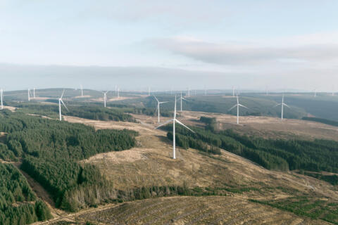 Viele Windräder stehen in einer Landschaft aus Feldern, Hügeln und Wäldern.