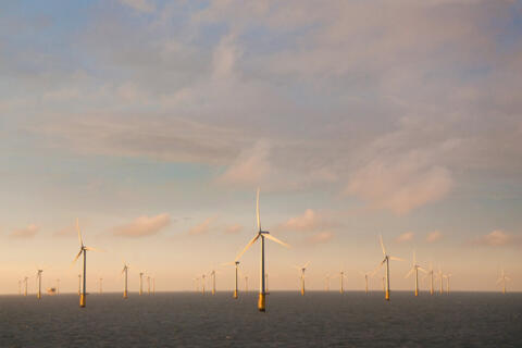 Offshore-Windräder im Sonnenuntergang