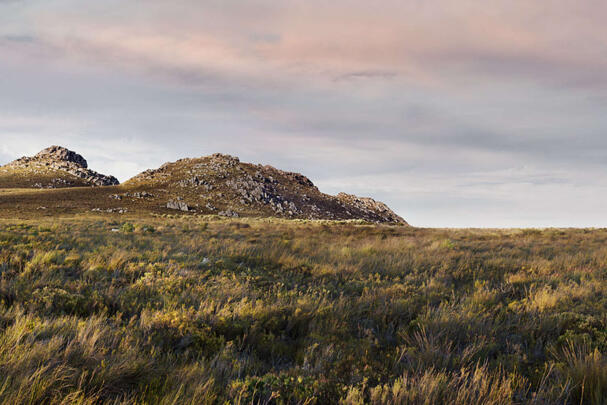 Klassischer Marktzugang Energie