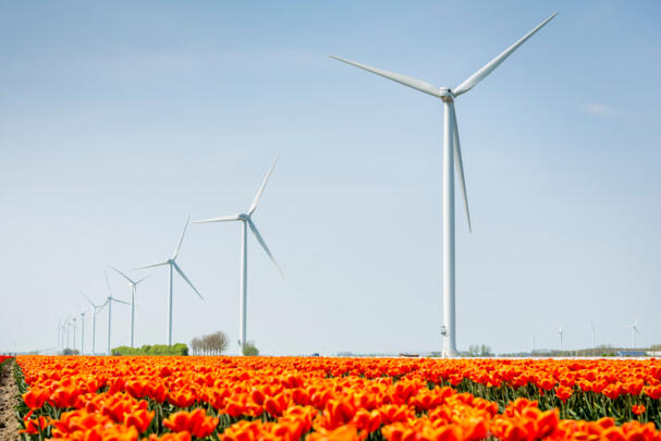 Onshore-Windräder in Landschaft