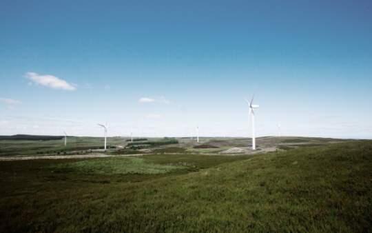 Grünes Flachland mit einzelnen Windrädern.