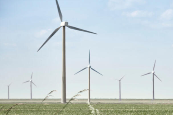 Eine grüne Wiese, auf der mehrere Windräder zu sehen sind.