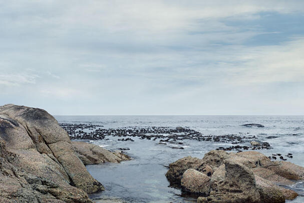 Teaserbild Felsen am Strand