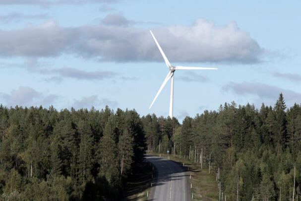 Ein Windrad steht hinter einem Wald, durch den eine Straße führt.