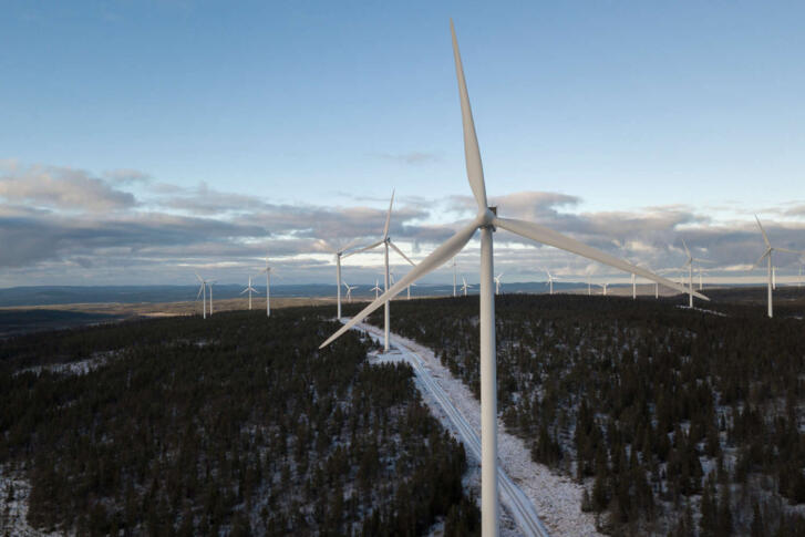 Viele Windräder, die in einem Wald platziert sind. Durch die Mitte des Waldes führt ein schmaler weißer Weg.