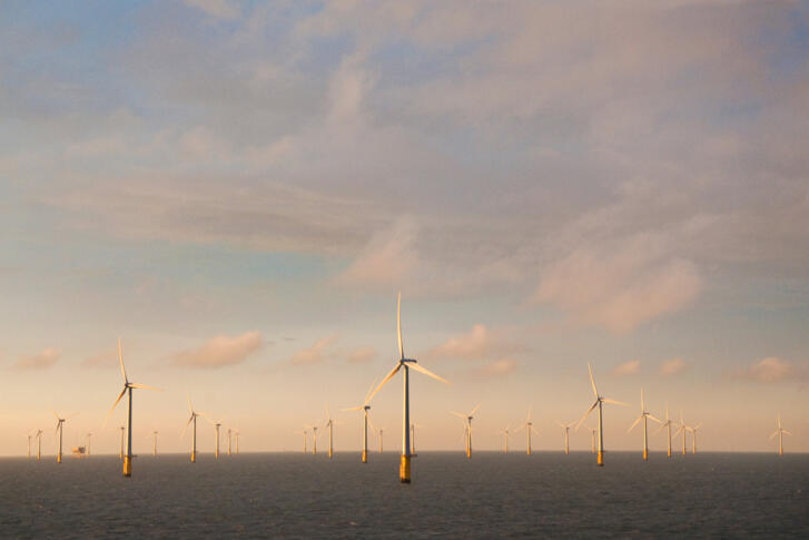 Offshore-Windräder im Sonnenuntergang