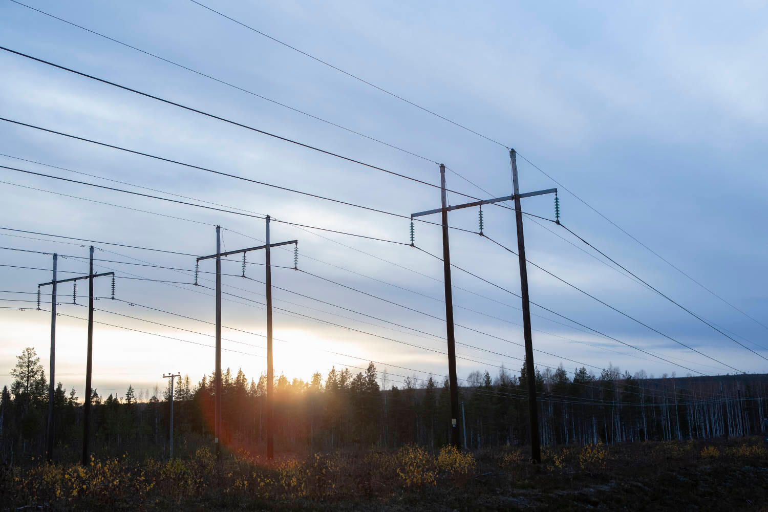 Strommasten in einem Waldgebiet bei untergehender Sonne.