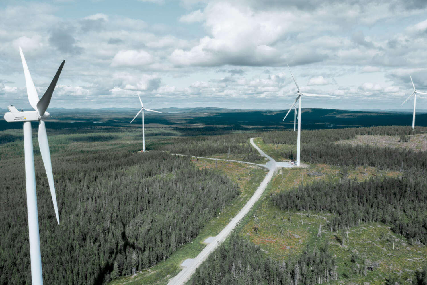Windräder, die vereinzelt in einem Wald platziert sind. Durch den Wald führt eine schmale Straße.
