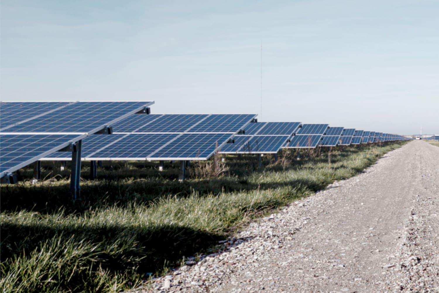 Ein Weg führt entlang der Solarpaneele eines Solarparks