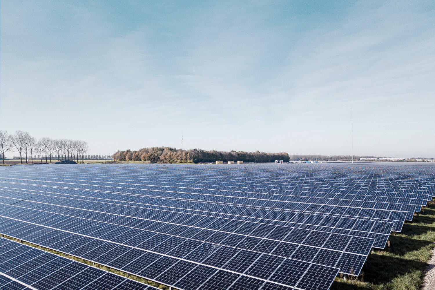 Ein Solarpark auf einem Feld, im Hintergrund sind Bäume und ein blauer Himmel mit Wolken.