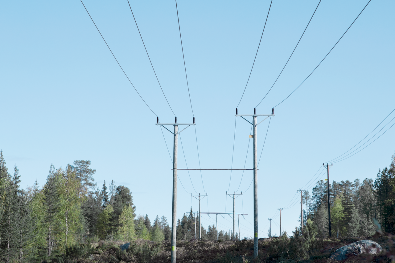 Stromtrassen in der Natur umgeben von vielen Bäumen