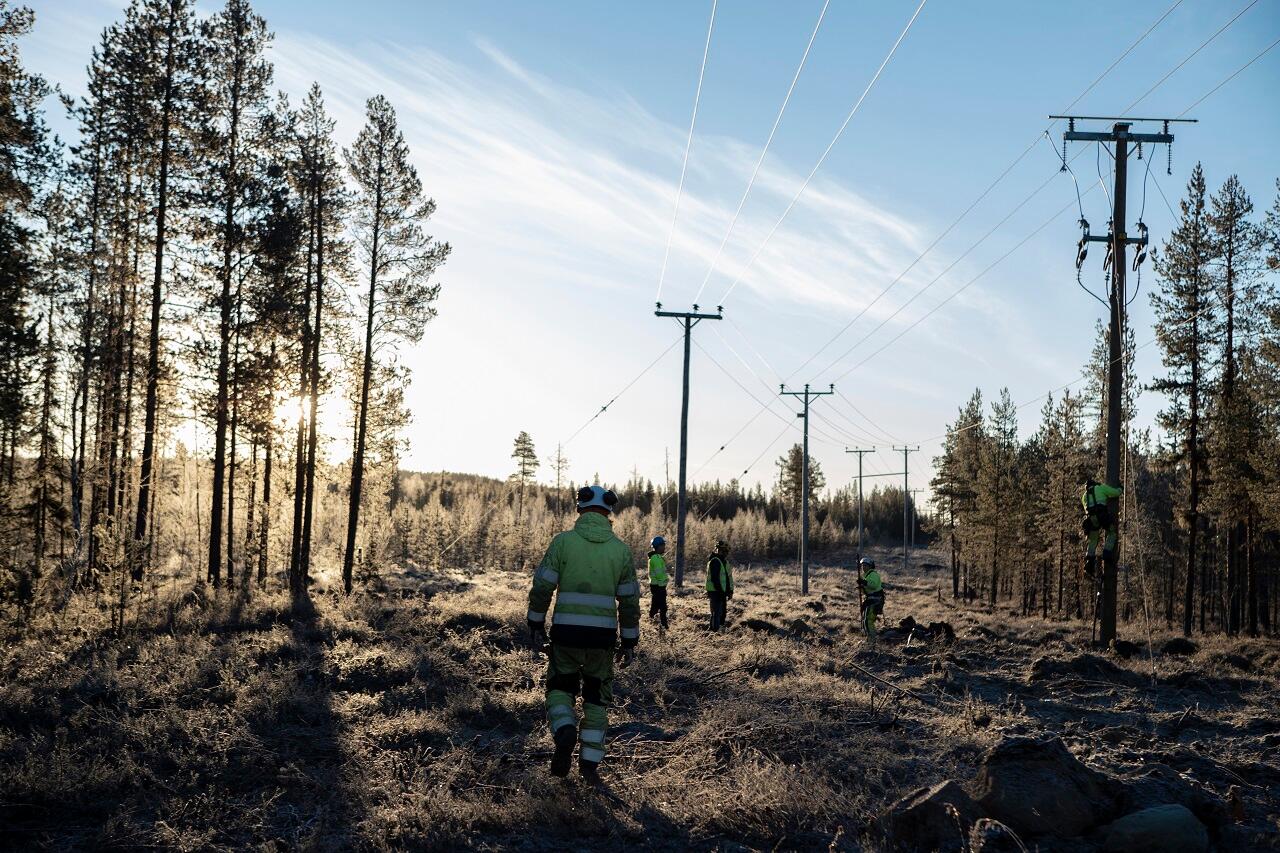 Mehrere Personen laufen durch einen Wald, durch den Stromleitungen führen.