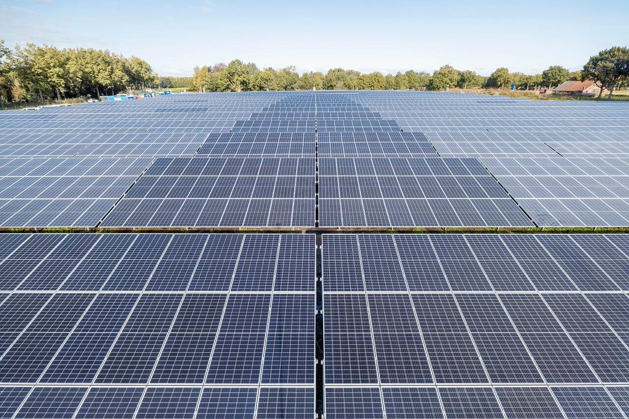 Ein großer Solarpark umgeben von Bäumen