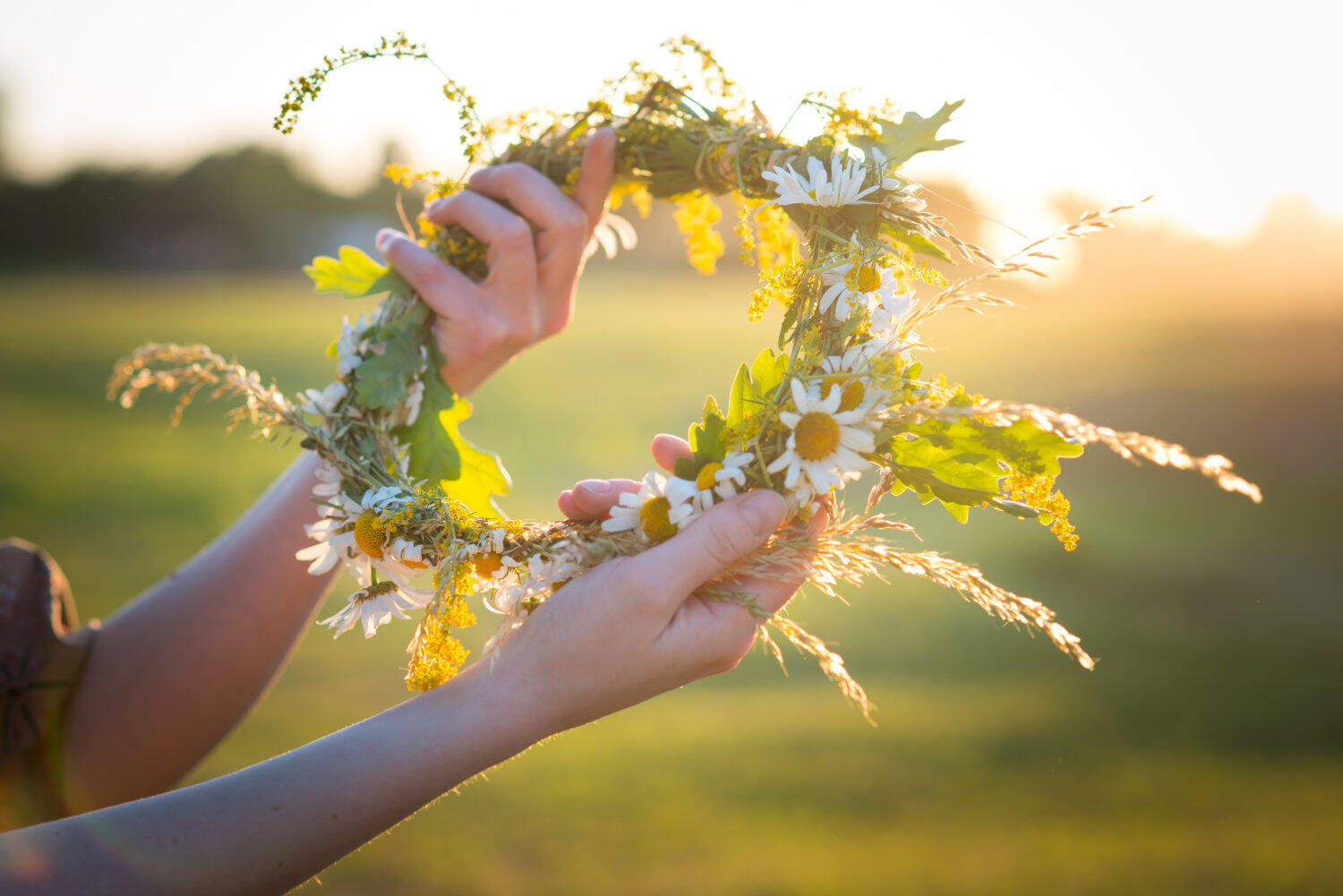 Es ist eine Hand zu sehen, die draußen auf der Wiese einen Blumenkranz hält
