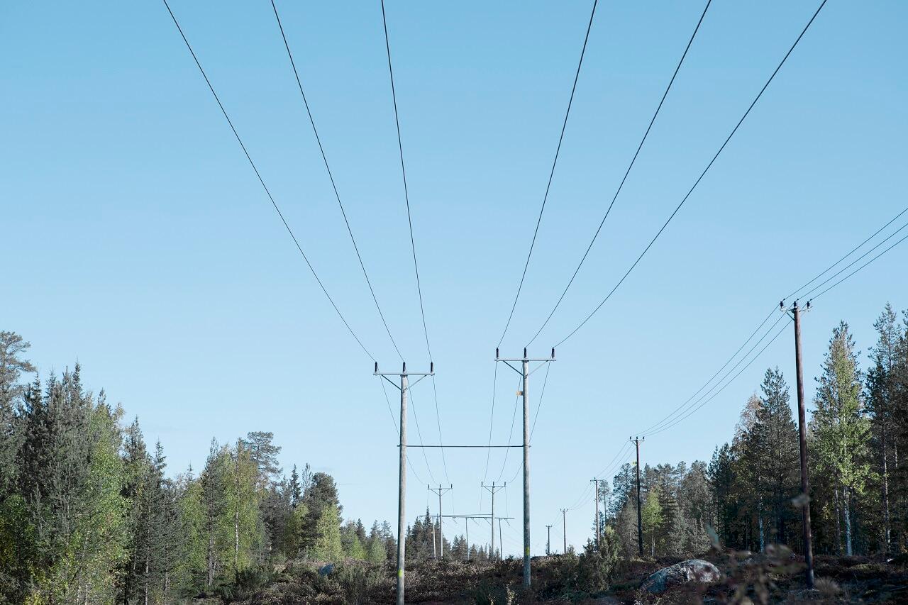 Stromtrassen in einem Wald bei blauem Himmel