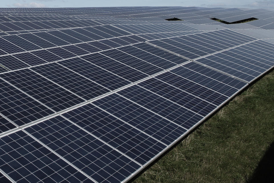 Nahaufnahme von einem Solarpark auf einer Wiese.