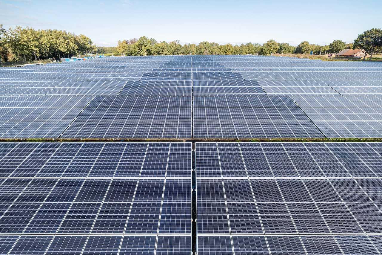 Solarpark vor einer Reihe von Bäumen bei blauem Himmel