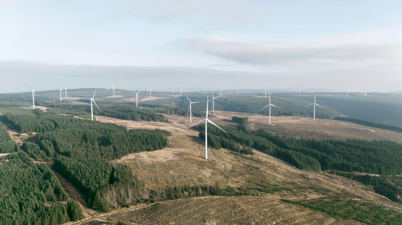 Viele Windräder stehen in einer Landschaft aus Feldern, Hügeln und Wäldern.